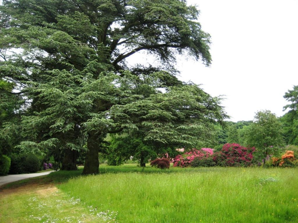 Willington Hall Hotel Tarporley Εξωτερικό φωτογραφία